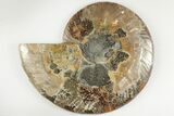 Cut & Polished Ammonite Fossil (Half) - Deep Crystal Pockets #200125-1